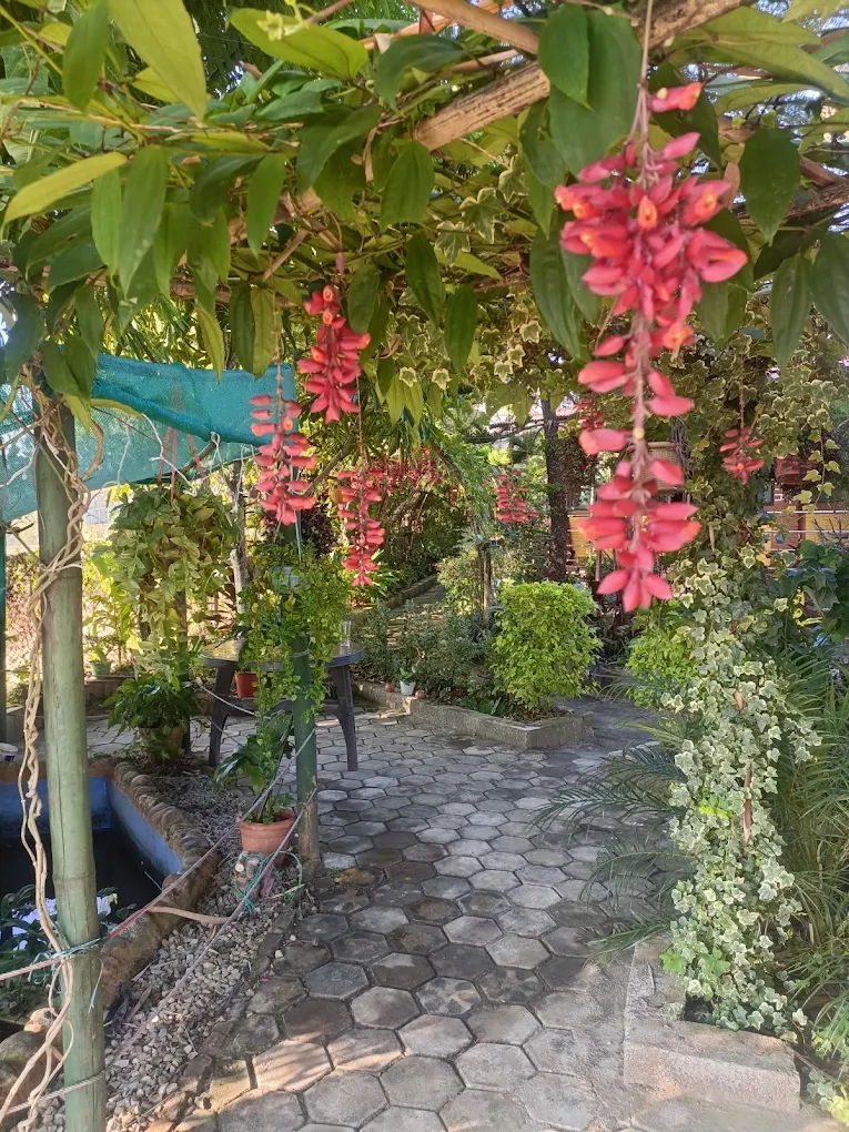 Lush garden walkway with hanging flowers at Peace Garden Restaurant Lalitpur